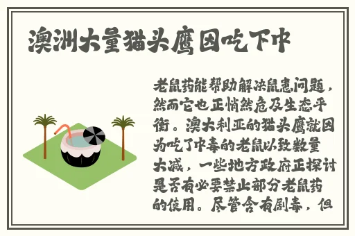 爱豆国产剧免费观看大全剧